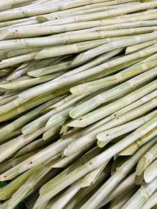 Iqf แท่งอ้อยแช่แข็งแช่แข็งสำหรับเครื่องดื่มอ้อยแช่แข็งสีเขียวและสีม่วง - Product Image 2