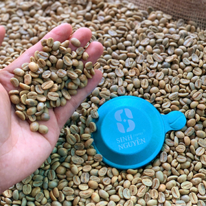 Grains de café Arabica du Vietnam pour torréfacteurs biologiques et miel traité - Product Image 4