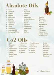 Extrait naturel de graine d'huile essentielle de carvi avec l'arôme boisé légèrement doux de fines herbes terreuses chaudes pour l'utilisation de diffuseur de massage de cheveux de peau - Product Image 4