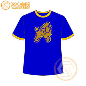Vente en gros de t-shirt Sigma Gamma Rho pour femmes vêtements de sororité jersey de coton t-shirt respirant de haute qualité vêtements grecs pour femmes - Product Image 6