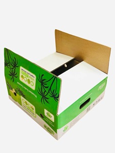 Caja de cartón corrugado de 5 capas OEM, cajas de papel reciclado impresas en offset para la industria alimentaria y agrícola - Product Image 5