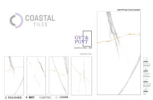 Fonction de brique réfractaire de tuile de porcelaine classique moderne de 600x1200mm - Product Image 2