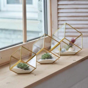 Terrario de Metal moderno con forma de cubo, jarrón de mesa versátil para decoraciones de jardín para el hogar, boda elegante con plantas y flores - Product Image 4