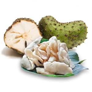 Fruits séchés du Vietnam de qualité supérieure Fruits au corossol séchés à faible teneur en sucre Grossiste du Vietnam - Product Image 1