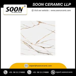 Azulejos de Porcelana para Piso 600x600 GVT/PGVT de Calidad de Exportación, Acabado Mate, Diseño Rústico, Antideslizantes, Antibacterianos, para Interiores y Exteriores - Product Image 3