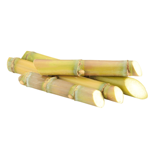 Canne à sucre fraîche à vendre-Canne à sucre de haute qualité - Product Image 1
