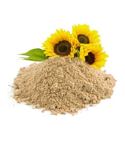Poudre de Lécithine de Tournesol de Qualité Alimentaire 100% Phosphatidylcholine Vente en Gros Extrait de Feuilles Exportateur Indien - Product Image 4
