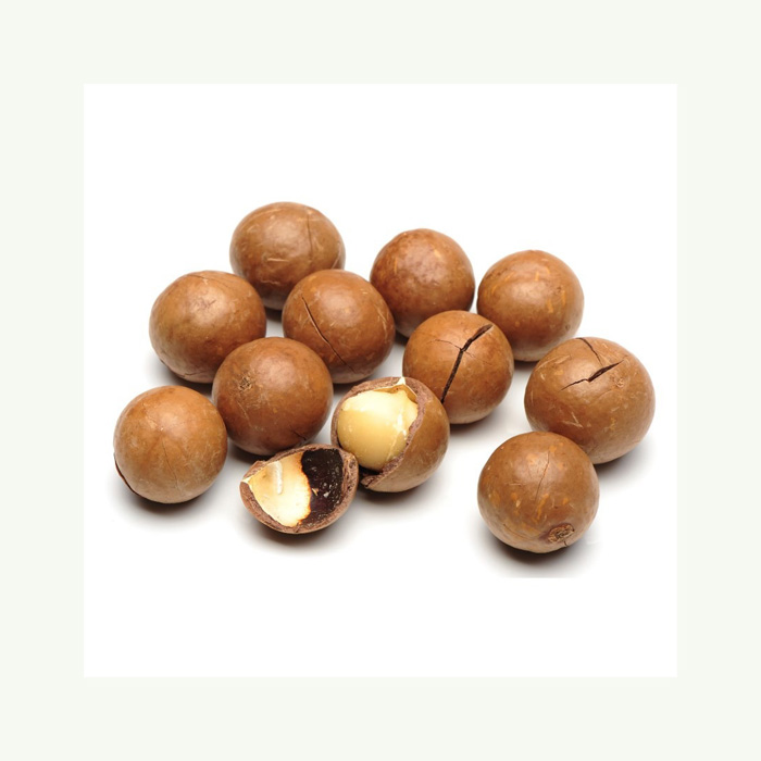 Raw Organic Bulk Nuts Macadamia Nuts Wholesales Roasted Macca Macadamia Nuts & Kernels at wholesale price