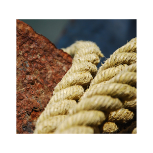 HOT DEAL - VIETNAM COCONUT COIR CORDE DE FIBRE DE COCO FABRIQUÉE AVEC DE LA NOIX DE COCO DE HAUTE QUALITÉ BOUCLÉE À PARTIR DE 99 GD - Product Image 6