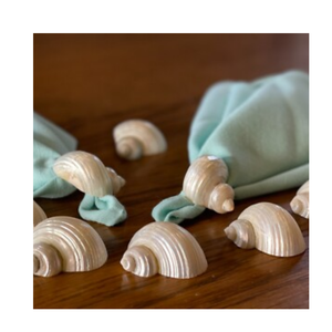 ห่วงใส่ผ้าเช็ดปากลายเปลือกหอยทำด้วยมือมีสไตล์ใช้ตกแต่งโต๊ะเปลือกหอยธรรมชาติส่งออกจำนวนมาก - Product Image 1