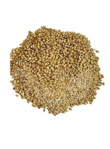 Trigo Duro Orgánico a Granel al por Mayor, Precio Favorable, Alto Contenido de Proteína, Atta Suave, Tipo Hierro, Saludable - Product Image 2