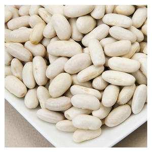 Haricots blancs 100% organique de haute qualité emballage en vrac origine américaine 2 ans durée de conservation fournisseur en gros - Product Image 2