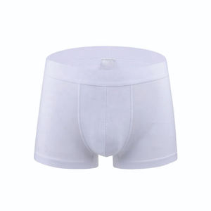 Sous-vêtements pour hommes, slips respirants sexy à taille mi-haute, boxer en nylon de haute qualité, logo personnalisé, marques classiques en élasthanne - Product Image 3