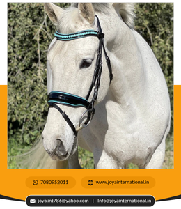 Édition limitée Fidji Black Patent Snaffle Bridle Produit de cheval plié de bonne qualité - Product Image 6