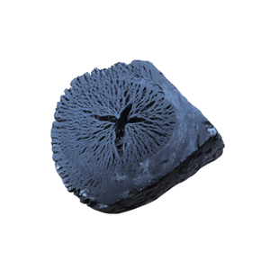 Fabricants de charbon de noix de coco de qualité - Product Image 1