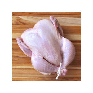 Vente de gros FROZEN TURQUIE CLAIRE ET FONCÉ Congelé Halal - Product Image 1