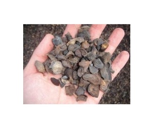 Producto de exportación de residuos agrícolas de cáscara de palmera - Product Image 4
