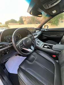 Palisadees d'occasion 2022 pour le marché mondial, modèle haut de gamme AWL 3.8 avec double toit ouvrant et toit en fibre de verre - Product Image 3