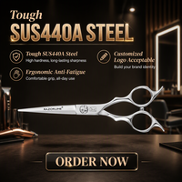 RK129 SUS 440A Ciseaux de coupe de cheveux d'usine en acier inoxydable Ciseaux de coiffure OEM