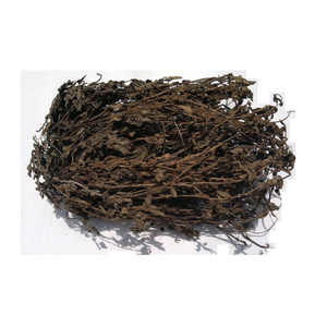 Premium Vietnam Black Grass Jelly-Venta al por mayor a granel Black Grass Jelly con sabor fresco para bebidas, postres y compradores de alimentos - Product Image 2