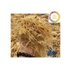 Buena Elección Algas Puras Cottonii Algas Versatiles Ideal para Aperitivos, Ensaladas Y Formulaciones De Belleza - Product Image 4