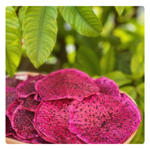 การส่งออกจำนวนมาก: ผลไม้มังกรนิ่มตากแห้งออร์แกนิกราคาฟาร์มจากเวียดนาม - Product Image 2