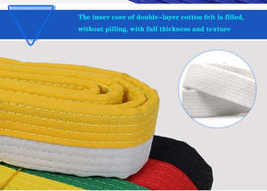 Ceinture professionnelle pour enfants, ceinture d'examen de karaté de Taekwondo, rouge, jaune, vert, bleu, noir, ceintures d'arts martiaux - Product Image 2