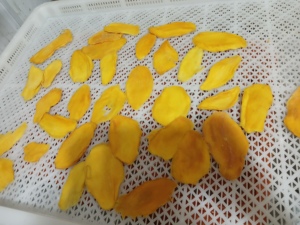 Rebanada Amarilla Dorada de mango suave seco al por mayor para minoristas de alimentos de Vietnam Fuente de mango suave seco AD Yummy Chewy Snacks - Product Image 3