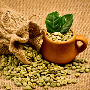 High Quality TNFOOD Organic Robusta Green Coffee Beans Size 16 USDA Organic <b>Certification</b> Grade G1/G2 1000kg Broken Black Only - Product Image 1