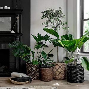 ตะกร้าหวายสำหรับปลูกต้นไม้ขนาดเล็กสำหรับตกแต่งในร่มและระเบียงดีไซน์ทำด้วยมือ - Product Image 4