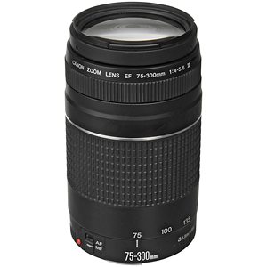 กล้อง DSLR พร้อมเลนส์ EF-S 18-55 มม. และ EF 75-300 มม. เลนส์โฟกัสแมนนวลแบบตั้งค่าล่วงหน้า 500 มม. การ์ดหน่วยความจำ 32GB ขาตั้งกล้อง กระเป๋าใส่กล้อง และชุดอุปกรณ์เสริม 24 ชิ้น - Product Image 4
