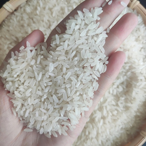 Calrose Arroz Arborio Arroz Vietnamita Medio Camolino Riz Baldo Arroz Redondo Precio Súper Barato [Contactar Sandra] - Product Image 4