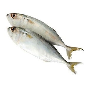 Venta caliente al por mayor precio barato congelado caballa del Pacífico pescado a granel - Product Image 5