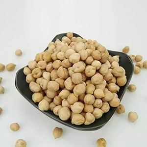 Venta al por mayor al mejor precio: Garbanzos Kabuli Orgánicos Tostados y Secos, Granos Enriquecidos, Venta Caliente del Proveedor Exportador, a Granel 25kg, 2 Años de Caducidad - Product Image 2