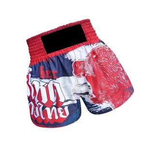 Short MMA personnalisé pour adultes, design 3D, kick-boxe, combat, muay, arts martiaux, nouvelle broderie personnalisée, vente en gros - Product Image 1