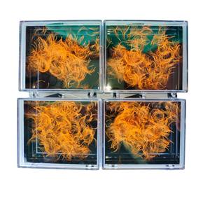 Extensiones de pestañas de ventilador de visón falso 5D de alta calidad, bandejas de pestañas con logotipo personalizado, longitud mixta de 0,03-0,20mm, fabricadas en Vietnam - Product Image 1