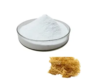 Poudre de carraghénane Farine de carraghénane Poudre de coton Poudre extraite de 100% COTTONII Fabriqué au Vietnam