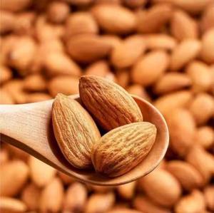 Almendras Orgánicas de Alta Calidad al por Mayor, Badam Cruda Seca con Sabor Natural para Uso Alimentario - Product Image 5