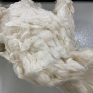 Organic Raw Cotton Bales 100% <b>Ginned</b> Cotton High Quality Eco-Friendly Anti-Bacteria Breathable Filling Material Bleached - Product Image 4