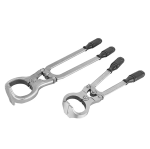 Pinces et forceps de castration pour moutons, bovins et chèvres, en acier inoxydable, instruments de chirurgie générale vétérinaire sans sang, qualité A+ - Product Image 1