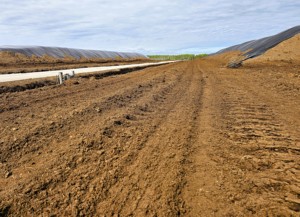 Mousse de tourbe crue de mousse de tourbe baltique neutralisée avec pH ajusté, literie idéale pour les producteurs de champignons - Product Image 2