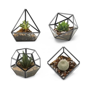 Luxury Design Glass <b>Terrarium</b> <b>Geometric</b> Mini Gardens for Air Plants Home Decor Office Accent Gift for Plant Lovers . - Product Image 5