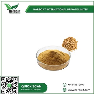 เครื่องเทศและผลิตภัณฑ์สมุนไพร Fenugreek (เมทิ) ผงสมุนไพรสดและแห้ง - Product Image 6