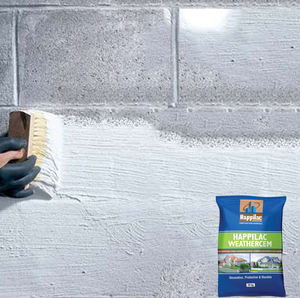 One-Component Water-Based Eco-Friendly Elastomer <b>Paint</b> Liquid Acrylic Cement Exterior Plaster <b>for</b> Brick Walls Damp Proof Seepage - Product Image 4