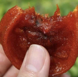 Material de caqui natural secado al sol de Vietnam, ideal para surtidos de snacks premium y desarrollo culinario imaginativo. - Product Image 5