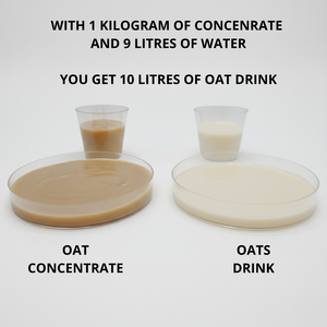 Concentrado de Avena Orgánico Sin Gluten Bajo en Azúcar 65 Brix - Product Image 4