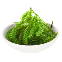 Uvas de Mar Más Vendidas - Uvas de Mar Secas Estándar de Exportación, Deliciosas y Naturales