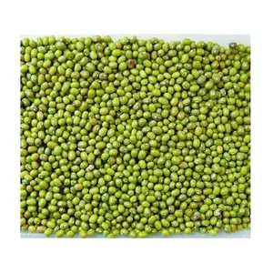 Lowest Price Green Mung Beans Myanmar Or Any Other Origin Premium Quality Bulk Quantity For Exports