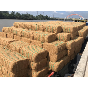 Fibra de coco natural/Fibra de coco Precio bajo de Vietnam - Product Image 3