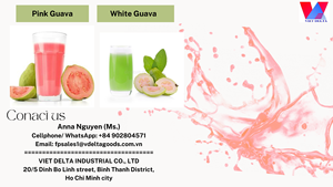 Concentré de jus de goyave blanc naturel de qualité supérieure exporté du Vietnam au MEILLEUR PRIX - Product Image 2